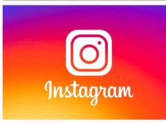 App Instagram Clone Java Android