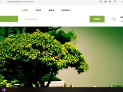 Code Website bán hàng cây cảnh bằng c# mvc aps.net