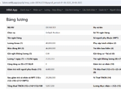Full code (NodeJS, ReactJS + MySQL): Phần mềm nhân sự, quản lý HĐLĐ, tính lương theo luật