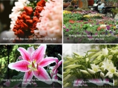 Mã nguồn website shop bán hoa