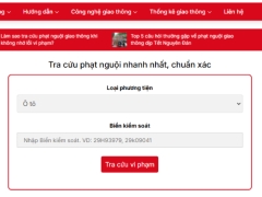 Plugin WordPress Tra Cứu Phạt Nguội nhanh chóng, chuẩn xác