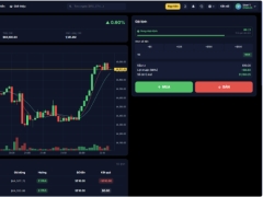 Source Code Sàn giao dịch BO (Binary Option) tương tự Wefinex