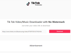 Tik Tok Video Music Downloader with No Watermark