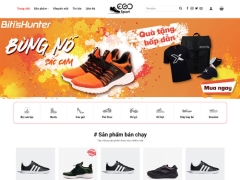 Theme WordPress,Giày dép,Sneaker,WordPress bán giày thể thao