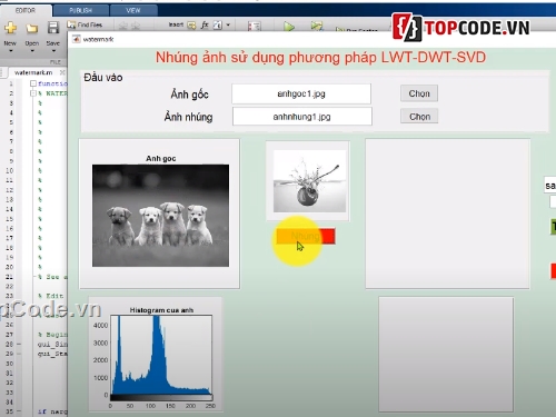 Matlab code,Thủy vân ảnh Matlab,Đồ án Matlab