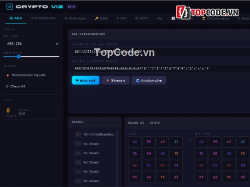 mô phỏng trực quan,python và c++,đồ án bảo mật