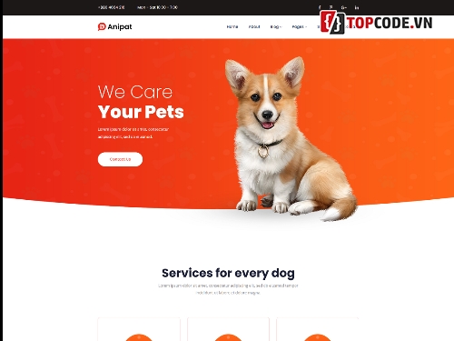 Template website bán thú cưng,HTML website bán thú cưng,Giao diện website bán thú cưng,Template bán thú cưng,Thú cưng website Template