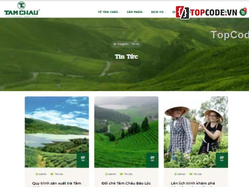 web bán trà xanh,trà đặc sản,trà cao cấp,Sharecode Website Bán trà đặc sản cao cấp