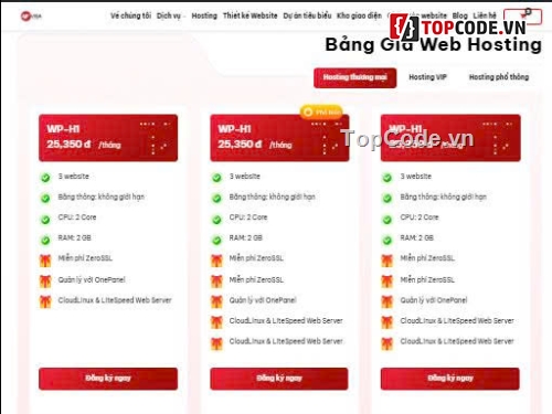 Website Hosting,website dịch vụ,hosting & domain,Sharecode Website Dịch Vụ Thiết kế Website-Hosting