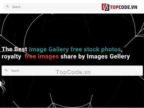 quản lý hình ảnh,gallery,reactjs,source code reactjs,nextjs,code nextjs