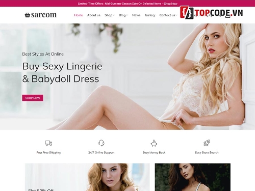 Bikini,Nội y,Phụ kiện,Thời trang,WordPress Theme bán thời trang,wordpress thời trang