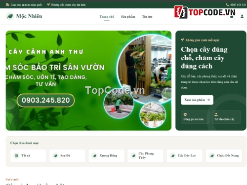 bán cây cảnh,cây cảnh,bán