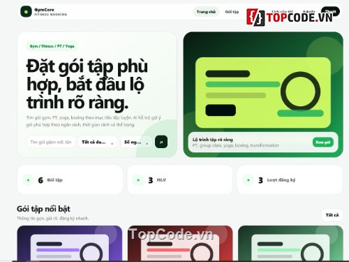 website tư vấn,web quản lý,gym