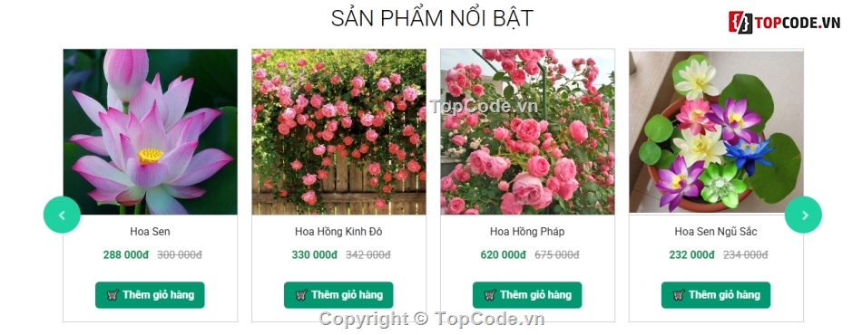 Đồ án,Đồ án web PHP,website bán hoa,web bán hoa quả,website bán hoa tươi,website bán hàng