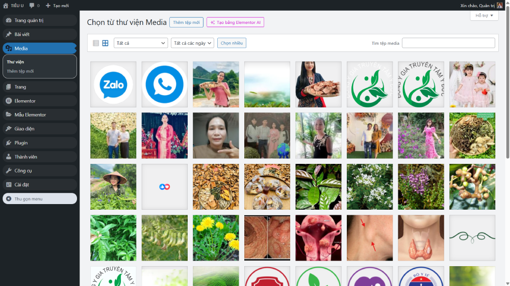 top code,landing tư vấn,code web chuẩn seo,share code,code web wordpress,landing thảo dược