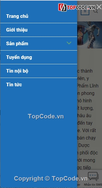 code web bán thuốc,mẫu website bán thuốc,web bán thuốc chuẩn seo,code bán thuốc đẹp