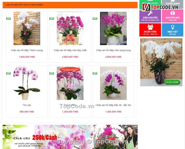 website bán hoa tươi,shop bán hoa,website bán hoa,Web bán hoa