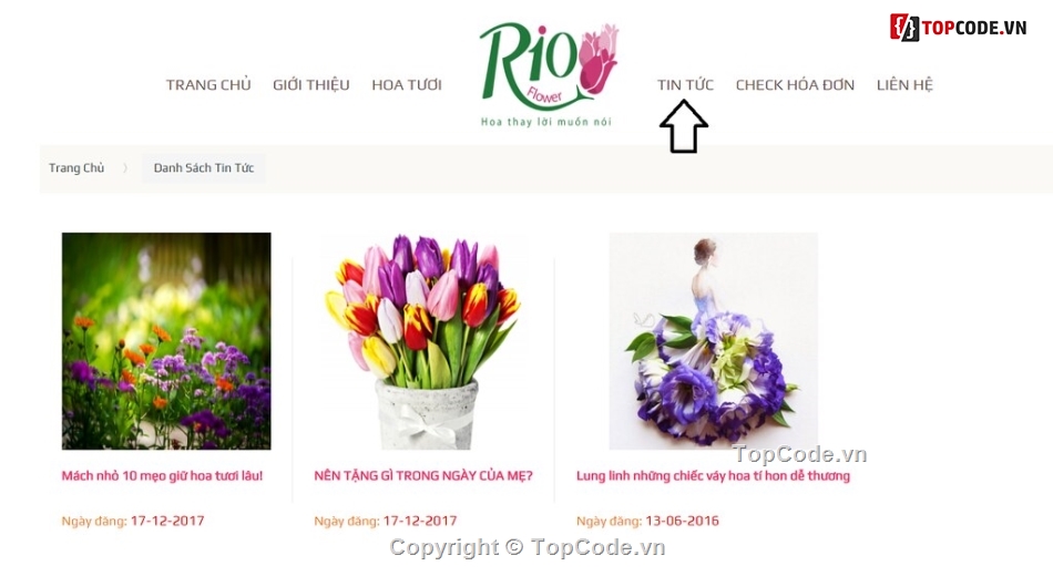 code website bán hàng,code web bán hàng,website bán hoa tươi,website bán quà tặng