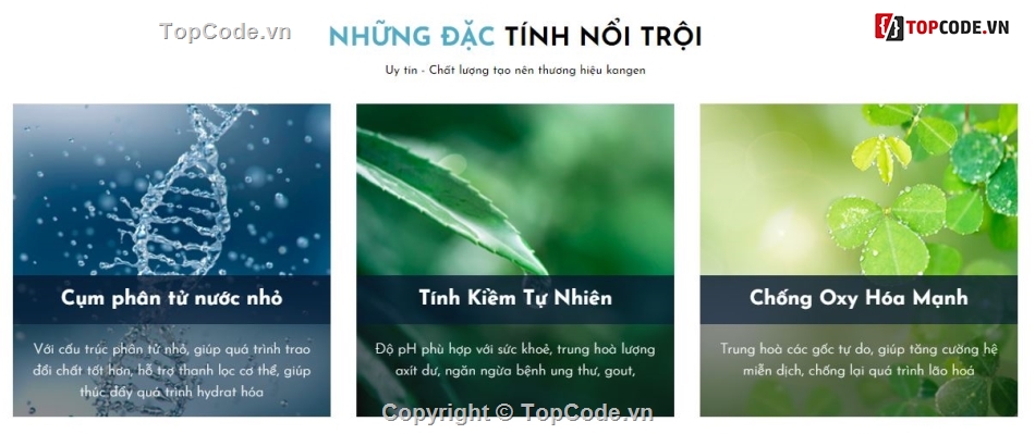 code website bán hàng,code bán hàng chuẩn seo,website máy lọc nước,website dịch vụ,website chuẩn seo,website giá rẻ