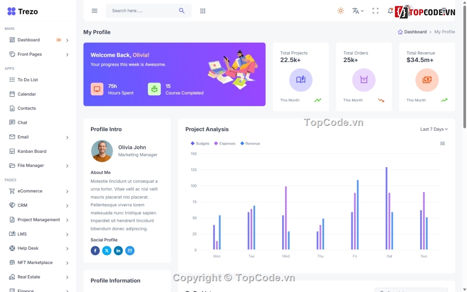 The Core Theme Review,Theme Flastsome,theme bootstraps