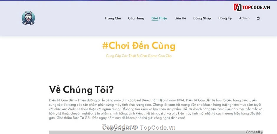 full báo cáo và slide,Website bán hàng,bán hàng điện tử,full,điện tử