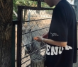 Vĩ Khang